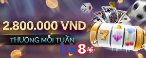 bk8