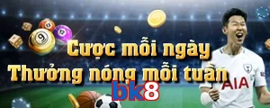 bk8